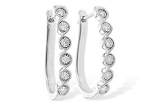 H273-32848: EARR .25 TW